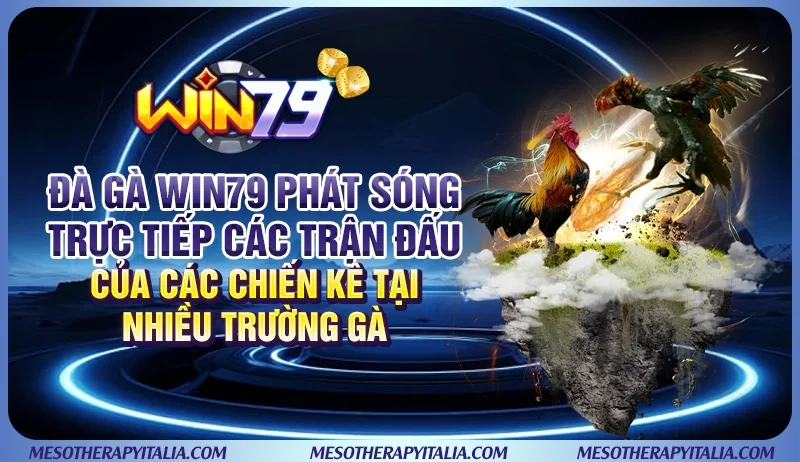 Đà gà WIN79 phát sóng trực tiếp các trận đấu của các chiến kê tại nhiều trường gà